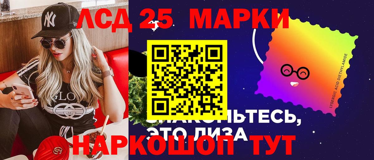 Псилоцибиновые грибы Гусиноозёрск