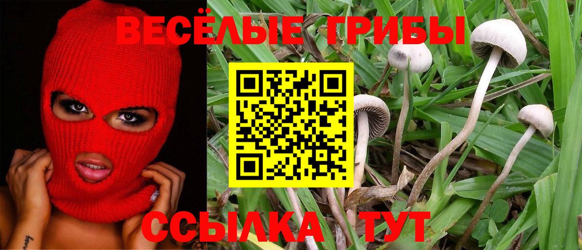 Галлюциногенные грибы MAGIC MUSHROOMS Гусиноозёрск