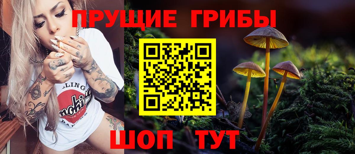 Гусиноозёрск  Псилоцибиновые грибы GOLDEN TEACHER  где продают   Вход с VPN 